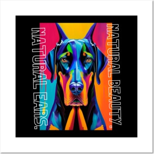 Graceful Elegance: Natural Ear Doberman Collection Posters and Art